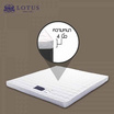 Lotus Topper Companian -III เบาะรองนอน (หนา 4 นิ้ว)