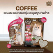 Easy Cat ทรายแมวกลิ่นกาแฟ 10 ลิตร