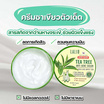 LALIO ครีมบำรุงผิว TEA TREE ANTI ACNE CREAM 80 กรัม (แพ็ก 3 ชิ้น)