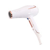 COOL A STYLER ไดร์เป่าผม Hair Dryer 2200W (รุ่น RCY-190)