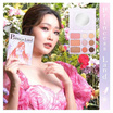 Nario Llarias พาเลทแต่งหน้า PRINCESS LAND PALETTE 24 กรัม (อายแชร์โดว์/บลัชออน/ไฮไลท์)