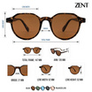 ZENT แว่นกันแดด รุ่น ZT8773 52mm