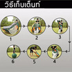 Thaisun Sport เต้นท์ ตั้งแค้มป์ ขนาด 2 คน