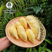 สวนทวีทรัพย์ ทุเรียนหมอนทอง ไซส์ S (3 kg)