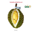 สวนทวีทรัพย์ ทุเรียนนวลทองจันทร์ ไซส์เล็ก กล่อง 2.5 กก.