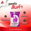 ไก่แจ้ ข้าวเหนียวเขี้ยวงู 2 กิโลกรัม