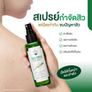 Naturista สเปรย์บำรุงผิวหน้า Tea Tree Acne Spray 120 มล.