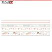 ThaiKK Masking Tape เทปวาชิ เวอติคาส แฟรี่ฟอเรส (แพ็ก 4 กล่อง)