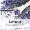 พฤกษา สปา น้ำมันหอมระเหยเอสเซนเชียลออยล์ 15 มล. Lavender