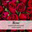 พฤกษา สปา น้ำมันหอมระเหยเอสเซนเชียลออยล์ 15 มล. Rose