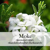 พฤกษา สปา น้ำมันหอมระเหยอโรม่าออยล์ 30 มล. Moke