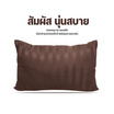 DD Bedding หมอนหนุน  รุ่น Compact น้ำตาลเข้ม