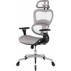 เก้าอี้สุขภาพ ADAM DOT.1 THE 3D ERGO CHAIR