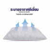 DD Bedding หมอนหนุนแพ็คคู่ รุ่น Compact SS ริ้วขาว