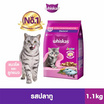 วิสกัส จูเนียร์ รสปลาทู พร้อมพ็อกเก็ตรสนม 1.1 กก.