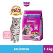 วิสกัส จูเนียร์ รสปลาทะเล พร้อมพ็อกเก็ตรสนม 1.1 กก.