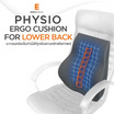 Ergotrend PHYSIO ERGO CUSHION FOR LOWER BACK เบาะรองหลังปรับท่านั่งตามหลักสรีรศาสตร์