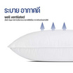 หมอนขนห่านเทียม รุ่น soft pillow 19"x29"