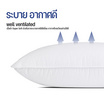 DD หมอนขนห่านเทียม รุ่น soft pillow 19"x29"