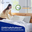 หมอน Nooz Comfort The Airly Memory Foam