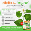 Merci เซรั่มลดสิว Vitamin C Anti-Acne Extra Bright Serum 4กรัม (แพ็ก 6 ซอง)