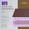 Bedisupreme ที่นอนสปริง หนา 8 นิ้ว รุ่น Vanest PVC