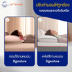 Morning Sleep หมอนสุขภาพ รุ่น Signature Pillow