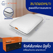 Morning Sleep หมอนสุขภาพ รุ่น Signature Pillow