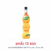 เฟรชชี่ ไซรัปผสมเนื้อมะม่วง 710 มล.