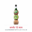 เฟรชชี่ ไซรัปผสมเนื้อกีวี 710 มล.