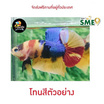 ปลากัดวัชรพล Nemo Multi Colour (เกรด A)