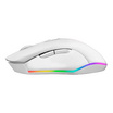 SIGNO เมาส์เกม GM-907 Centro White