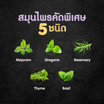 ซีซาร์สุนัขเปียกไก่แกะ แครอทมันหวาน 60 กรัม