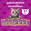 วิสกัสมัลติแพ็คปลาทู,ปลาทะเล,ปลาทู&แซลมอน12x80 กรัม