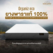 ที่นอนยางพาราแท้ 100% ธรรมชาติ HI-DENSITY ORGANIC BASE รุ่น ORGANIZ ECO หนา 10 นิ้ว