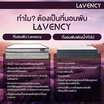 ที่นอน 3 พับ HI-DENSITY ORGANIC OPEN CELL BASE รุ่น LAVENCY