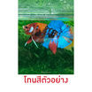 ปลากัดวัชรพล Nemo Galaxy (เกรด B) โทนสีส้ม