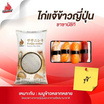 ไก่แจ้ ข้าวญี่ปุ่น 100% ซาซานิชิกิ 5 กิโลกรัม