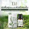 LITHZ ทีทรีออยล์แต้มสิว Tea Tree Essential Oil 10 มล.