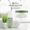 LITHZ เจลล้างหน้าลดสิว Tea Tree Anti-Acne Cleanser Gel 60 มล.