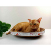 CCPets กระดาษข่วนเล็บแมวทรงรี IC1127N 40x28x8