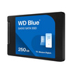 WD SSD SATA3 2.5 inch รุ่น Blue SA510 250GB