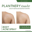 Plantnery สเปรย์ลดสิวสำหรับผิวกาย Tea Tree Body Acne Spray 120มล.