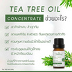 Plantnery น้ำมันทีทรีเข้มข้น Tea Tree Oil Acne Spot 10มล.