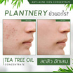 Plantnery น้ำมันทีทรีเข้มข้น Tea Tree Oil Acne Spot 10มล.