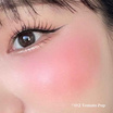 Supershades บาล์มบลัช Stick With Me Blush 4 กรัม