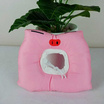 CCPets คอลล่าลูกหมู QCW013N