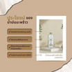 Cocowel Organic Virgin Coconut Oil น้ำมันมะพร้าวสกัดเย็น ตรา โคโค่เวล