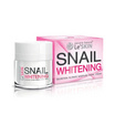 Le Skin ครีมหอยทาก Pacare Bessie Snail Whitening Secretion Filtrate Moisture Cream 50มล.