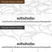 Kawa ที่นอนสปริงรุ่น Seikaku II หนา 10 นิ้ว สีเทา